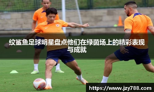 tyc122cc太阳成集团